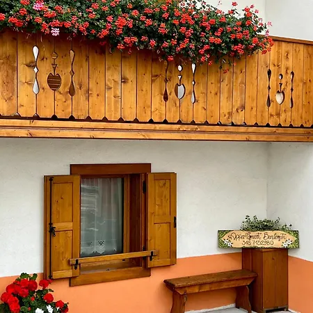 Alpino - Dolomites Escape Apartment *